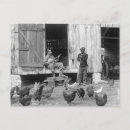 Zoek naar boerenerf briefkaarten Boerderij