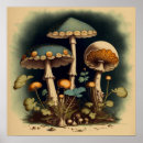 Recherche de champignon art Antique