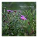 Recherche de fleur violette posters Nature