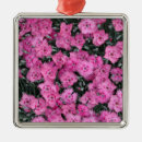 Recherche de flower ornements Pour tous