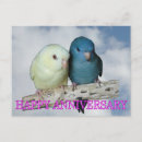 Recherche de perruche bleue cartes postales Oiseau