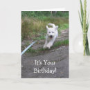 Zoek naar running kaarten Grappig