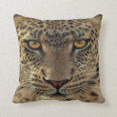 Recherche de zoo coussins Doux