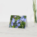 Zoek naar blauwe vlinder kaarten Tuin
