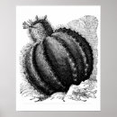 Recherche de gravure vintage posters Noir et blanc