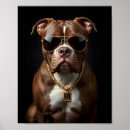 Zoek naar pitbull posters Zwart
