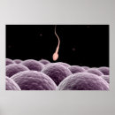Recherche de fertilité humaine posters Trois dimensions