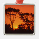 Recherche de adam ornements Coucher de soleil