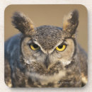 Recherche de vue face dessous de verres Regarder l'appareil photo