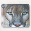 Recherche de animal zoo tapis souris Faune