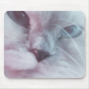 Recherche de chat pastel tapis souris Félin