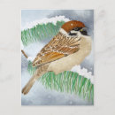 Recherche de oiseaux neige cartes postales Arbre