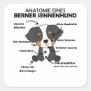 Zoek naar anatomie stickers Puppy