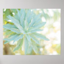 Recherche de état de nature Fleur