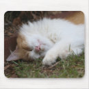 Recherche de chat adorable tapis souris Minou