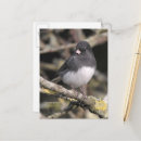 Recherche de ardoise cartes postales Oiseau
