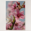Recherche de sakura photographie Floral
