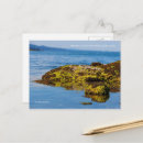 Recherche de galet cartes postales Plage de galets