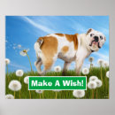 Recherche de funny dog art Pet