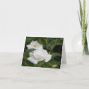 Recherche de pureté vœux cartes Paix