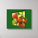 Recherche de tomate impressions sur toile Jardin