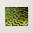 Recherche de paons puzzles Coloré