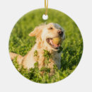 Recherche de golden retriever christmas decor Dog
