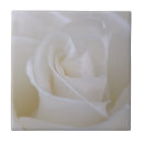 Zoek naar rose tegels Bloem