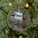 Recherche de mon canard ornements Noël