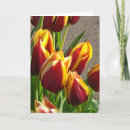 Recherche de fleurs de tulipe vœux cartes Tulipes