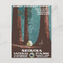 Recherche de séquoias cartes postales Voyage