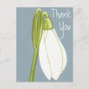Recherche de fleur de perce neige cartes postales Vert