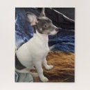 Recherche de chihuahua puzzles Amoureux des chiens