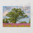 Recherche de étoile du nord cartes postales Violet