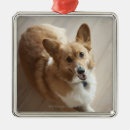 Recherche de vue courbe ornements Les etats unis