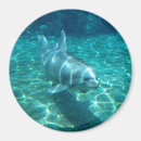 Recherche de aigu magnets Aigue marine