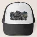 Recherche de blog casquettes La terre centrale