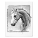 Recherche de cheval noir blanc posters Tête de cheval