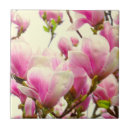 Recherche de fleur de magnolia carreaux Pour elle