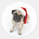 Recherche de vacances de chiot autocollants Chien de noël