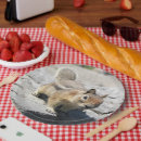 Recherche de écureuil moulu Animal