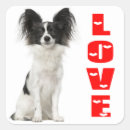 Recherche de chien papillon autocollants Chiot