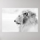 Recherche de mane posters Profile