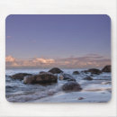 Recherche de rochers tapis souris Nature