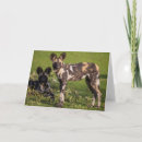 Recherche de espèce menacée vœux cartes Animaux sauvages