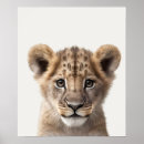 Recherche de animal africain Pépinière