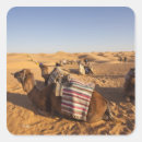 Recherche de sahara autocollants Dune