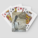 Zoek naar pelikanen speelkaarten Vogels