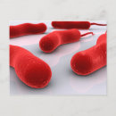 Recherche de choléra Biologie