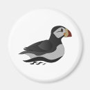Recherche de oiseau magnets Pour eux